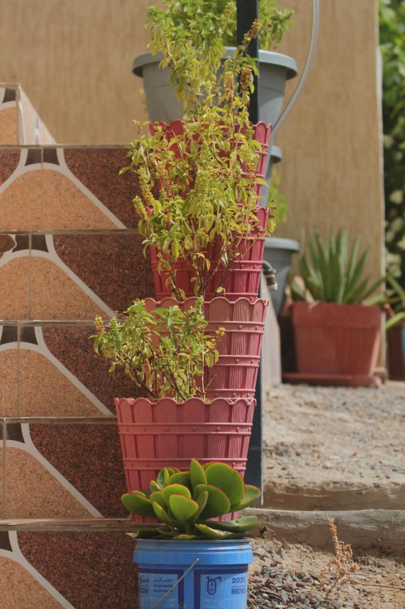 דירות Alhiane House אימסואן מראה חיצוני תמונה